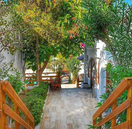 منتجع Yildiz 3*