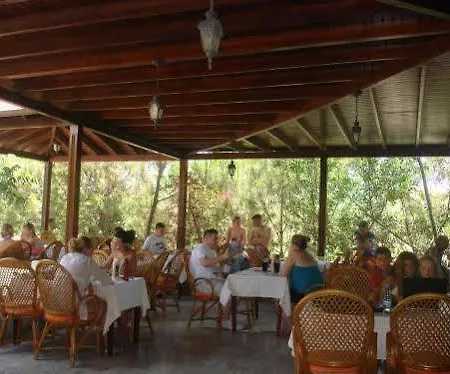 Yildiz Bodrum