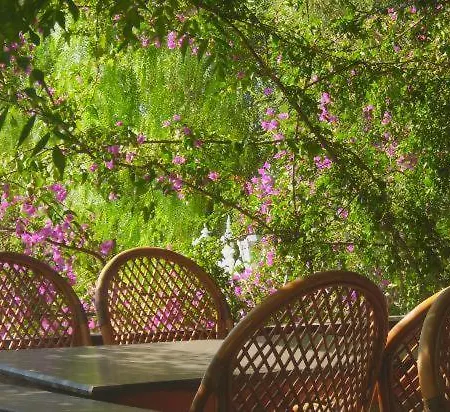 Yildiz Bodrum